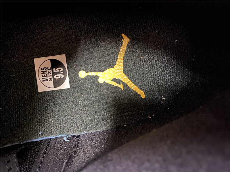 Air Jordan 12 Dark Concord(CT8013-005)